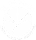 El Paruco